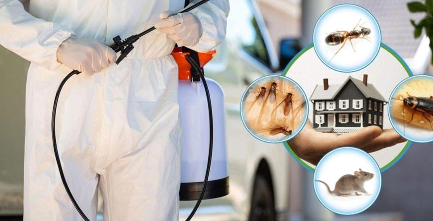 Alaybey Böcek İlaçlama