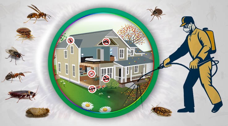 Alaybey Böcek İlaçlama