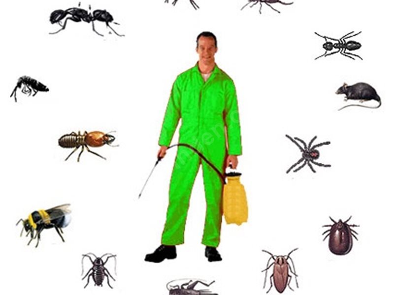 Alaybey Böcek İlaçlama